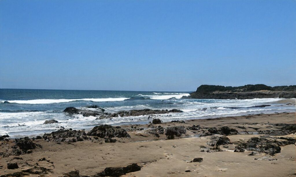 Plage de Quinéville – Quinéville accepte les chiens à Quinéville