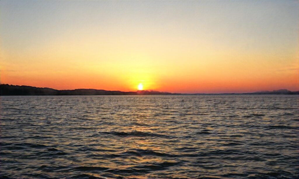 Plage du Thar – Saint-Pair-sur-Mer accepte les chiens à Saint-Pair-sur-Mer

