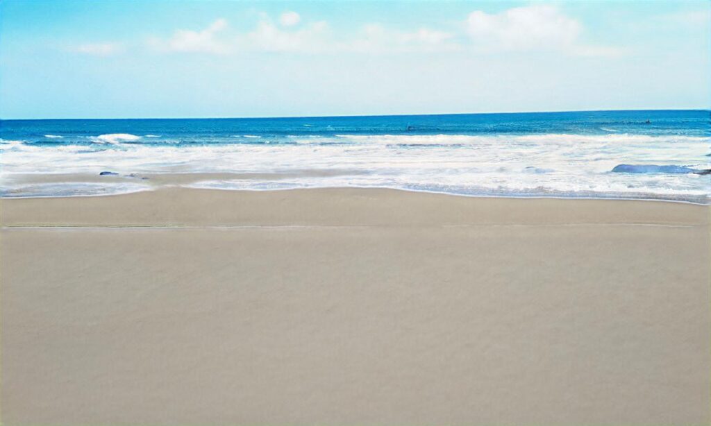 Plage du Pignochet accepte les chiens à Saint-Jean-le-Thomas