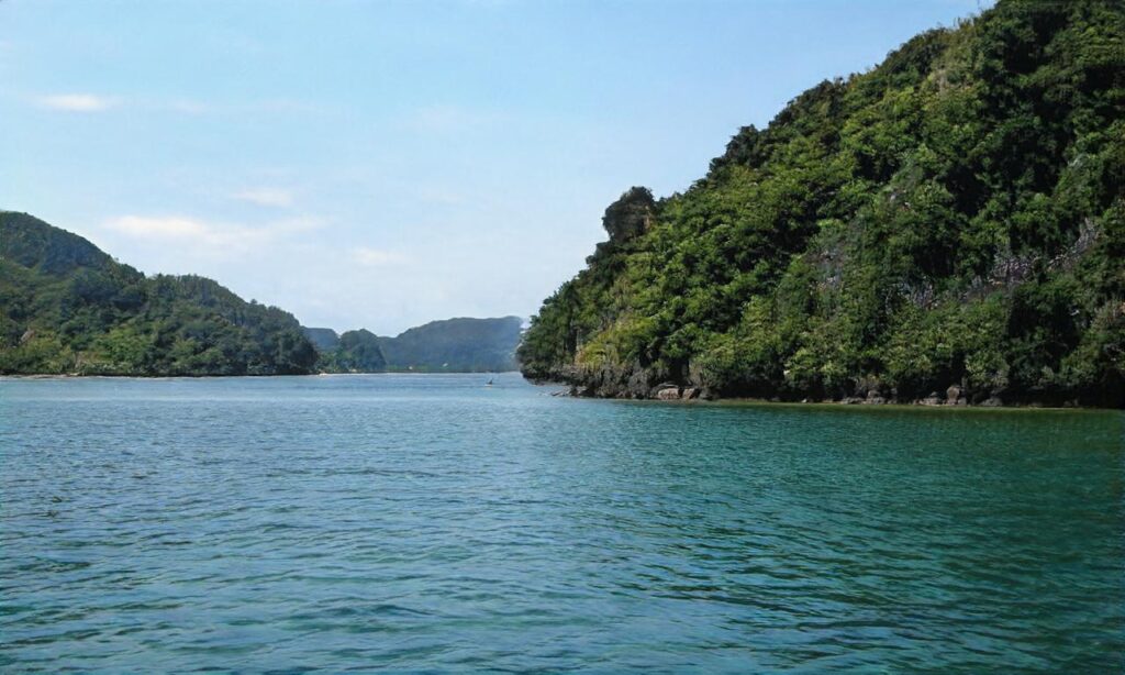 Plage de Jonville accepte les chiens à Réville