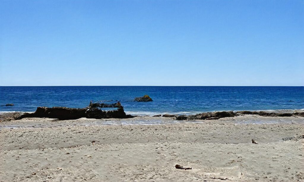 Plage de Utah Beach accepte les chiens à Sainte-Marie-du-Mont