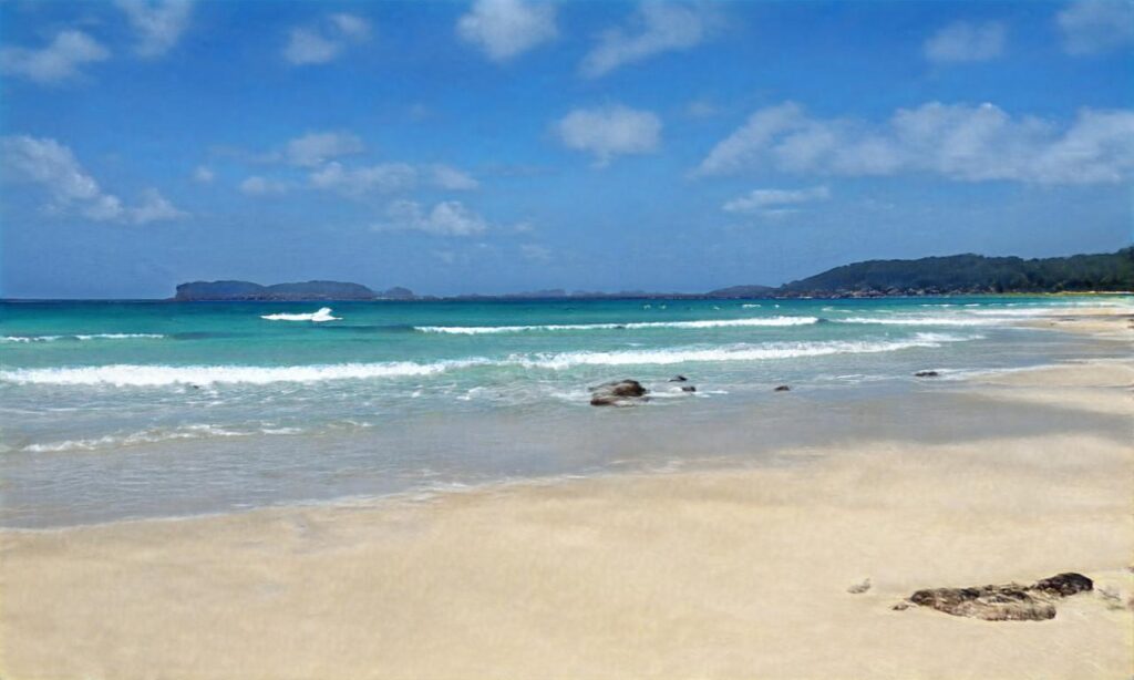 Plage de la calanque Tardieu – Les Issambres accepte les chiens à Roquebrune-sur-Argens