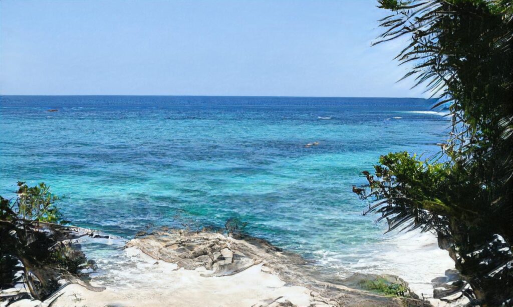 Plage La Goule de Braie à Querqueville accepte les chiens à Cherbourg-en-Cotentin