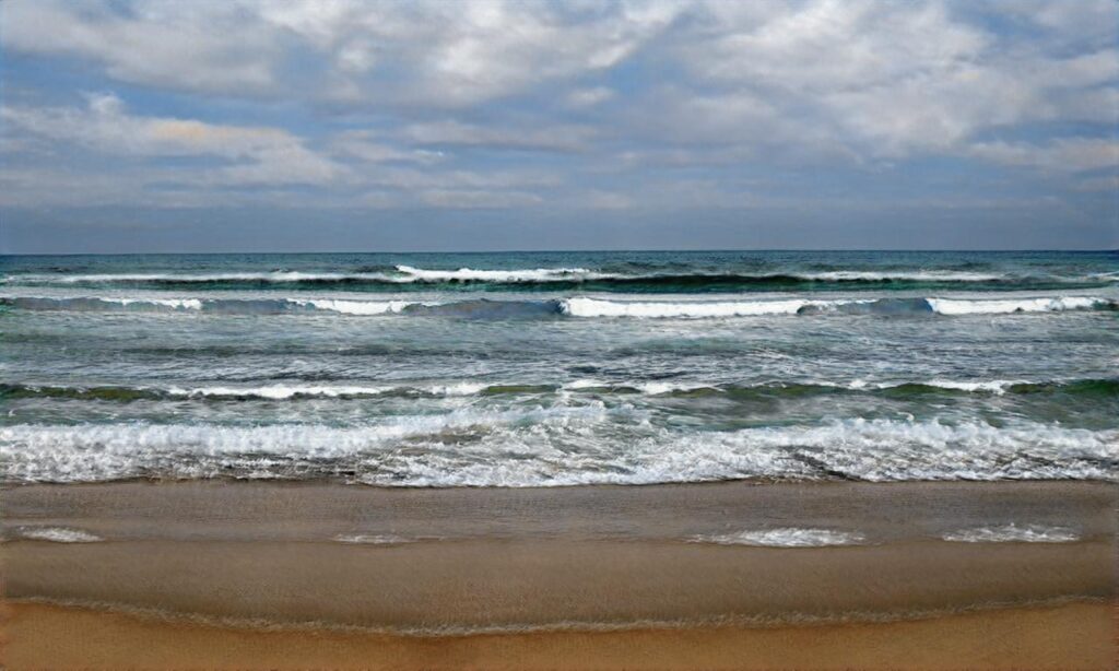 Plage du Plat Gousset accepte les chiens à Granville