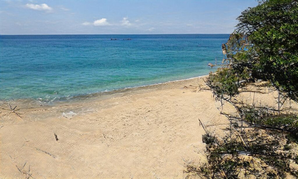 Plage de Surtainville accepte les chiens à Surtainville