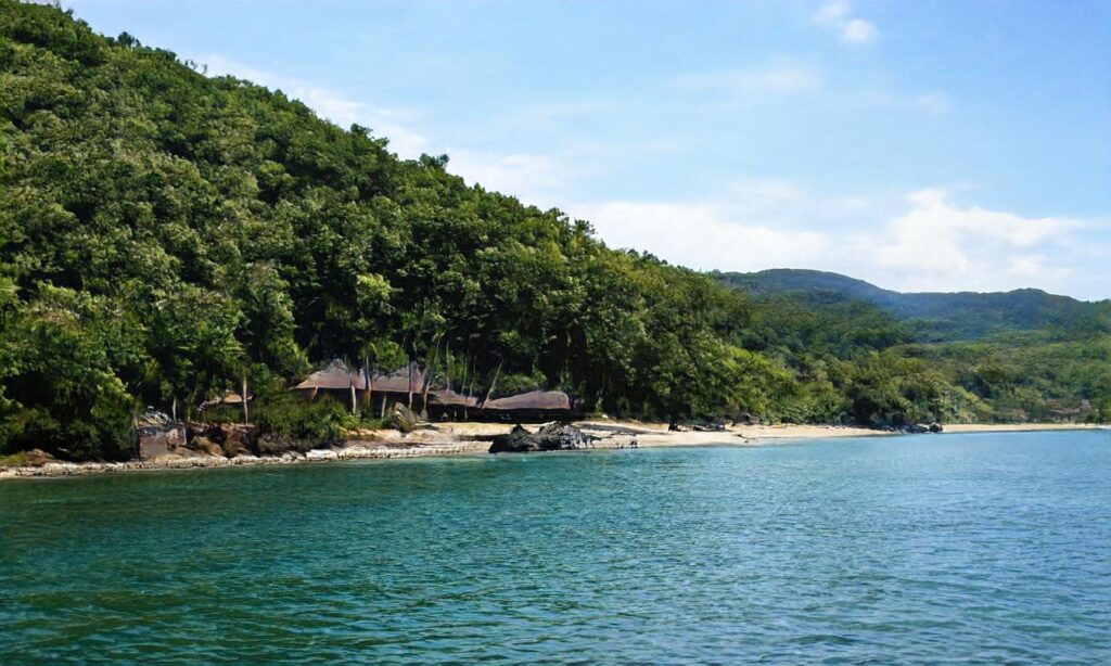 Plage de Sciotot aux Pieux accepte les chiens à Les Pieux
