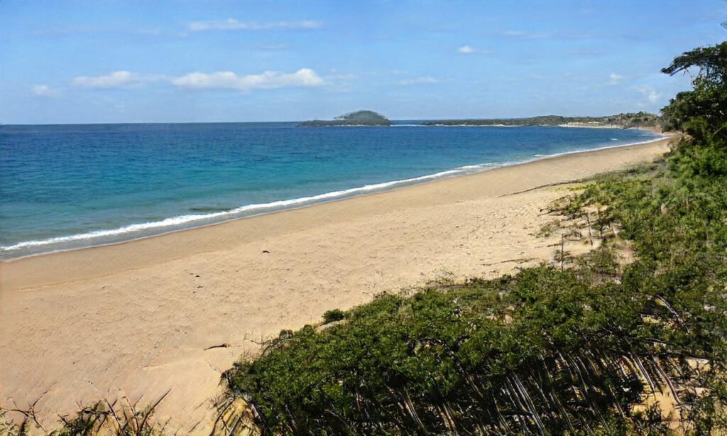 Plage du Rozel accepte les chiens à Le Rozel