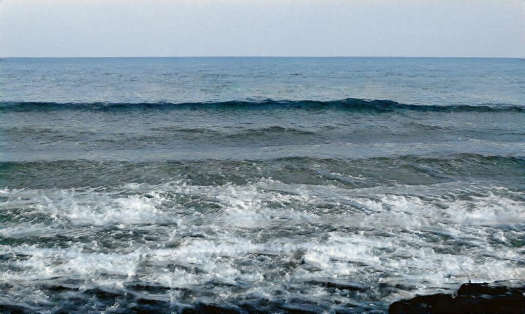 Dog Beach – Plage de la Seyne-sur-mer accepte les chiens à La Seyne-sur-Mer