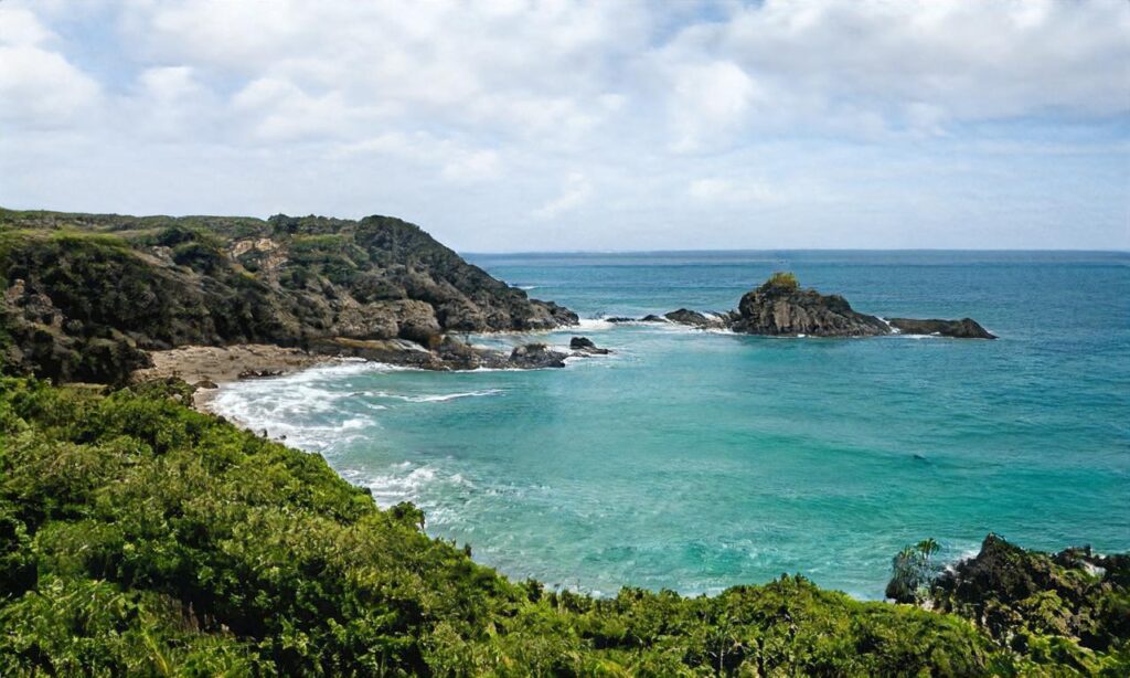 Plage de Langrune-sur-mer accepte les chiens à Langrune-sur-Mer