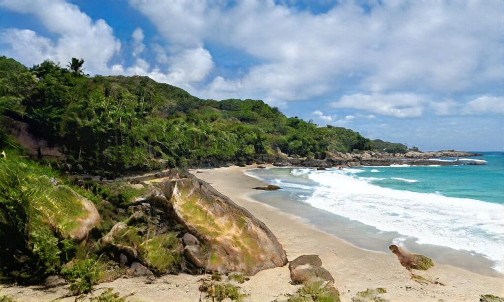 Plage de Luc-sur-Mer accepte les chiens à Luc-sur-Mer