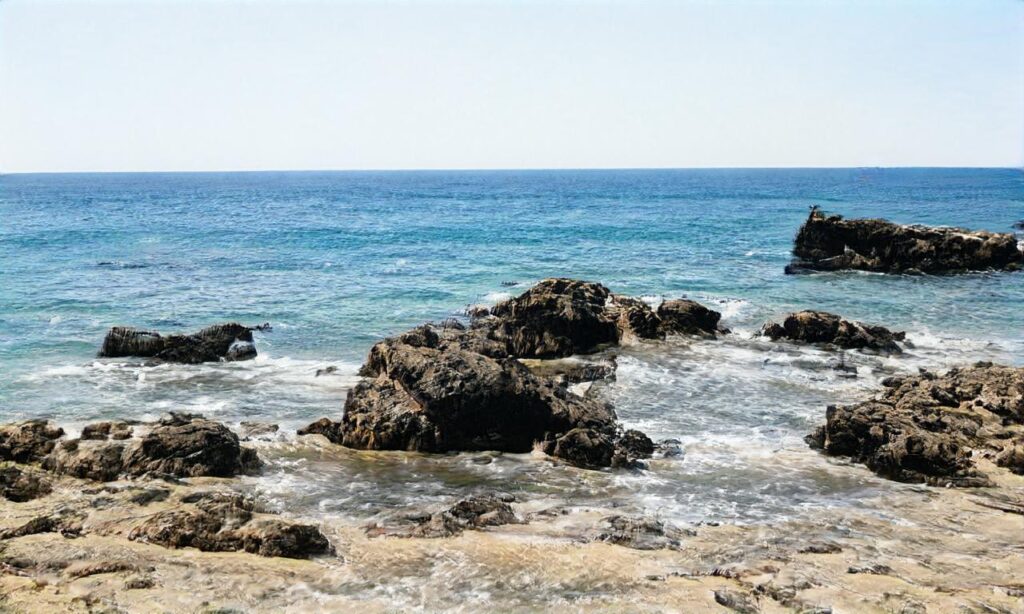 La Plage du Lizeau accepte les chiens à Saint-Pierre-Quiberon