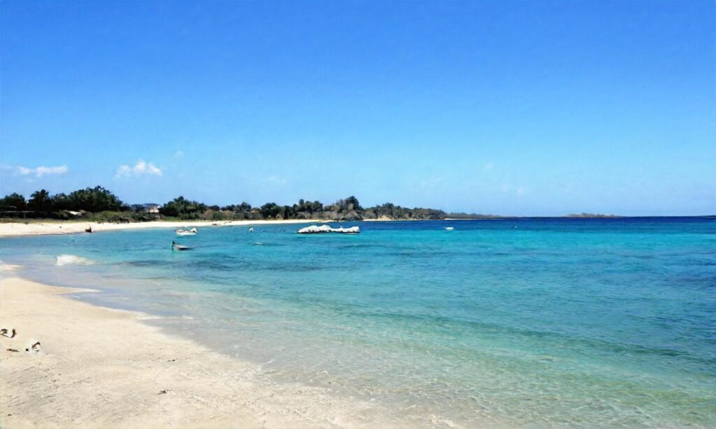 La plage du Drehen accepte les chiens à Quiberon
