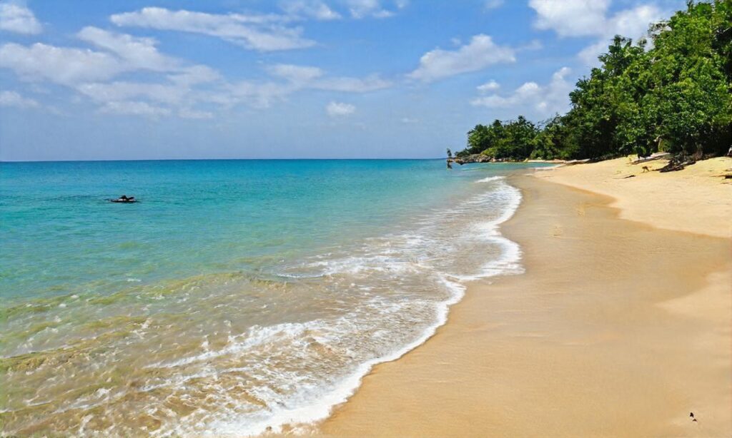 Plage du Créneau Naturel accepte les chiens à Narbonne