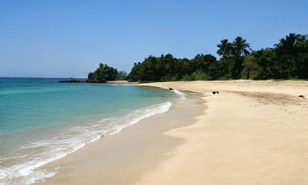 Plage du Donnant accepte les chiens à Sauzon
