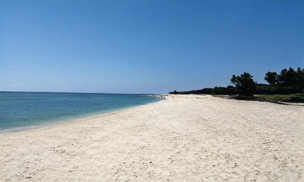 Plage du Parc de la Dranse accepte les chiens à Publier