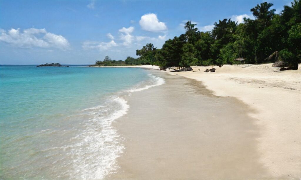 Plages de Locmiquel accepte les chiens à Baden