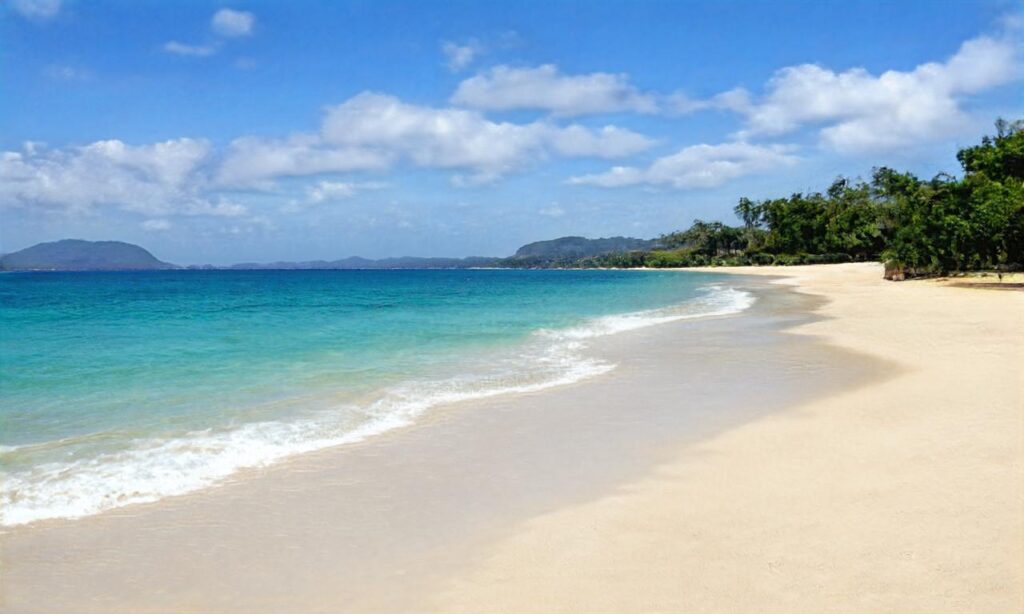 Plage des Aresquiers accepte les chiens à Frontignan