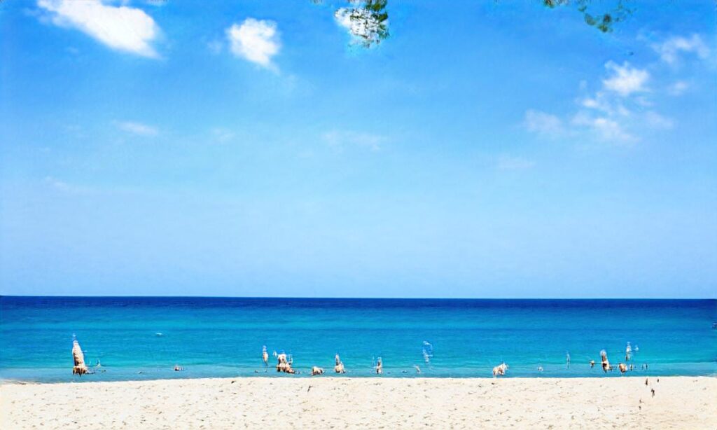 Plage de L’Écuissière accepte les chiens à Dolus-d'Oléron