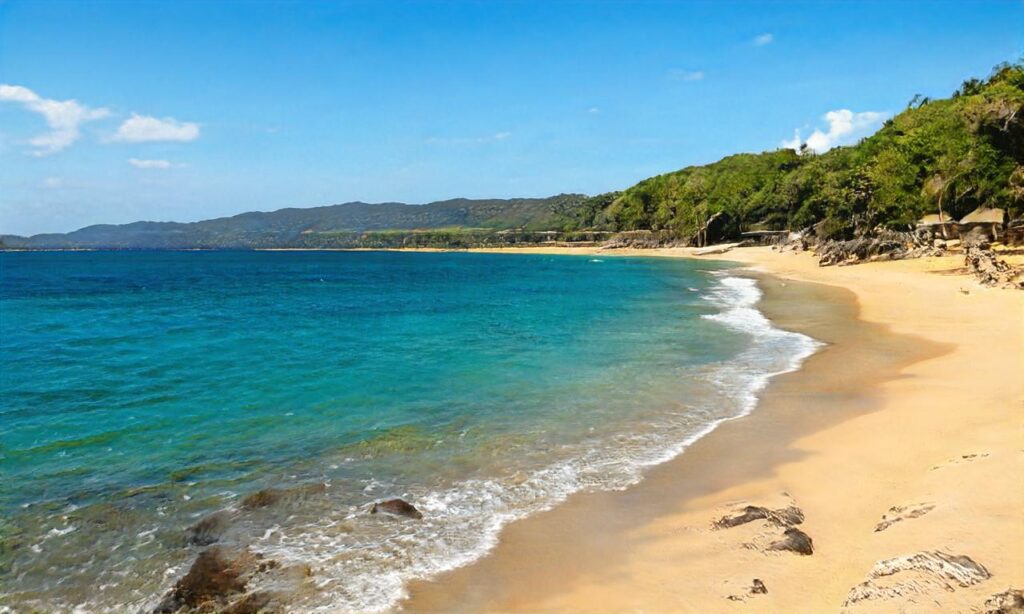 Plage de Soulac-sur-mer accepte les chiens à Soulac-sur-Mer