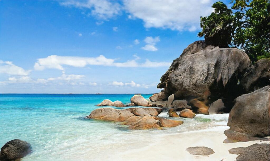 Plages pour chien à Nice – Lenval accepte les chiens à Nice