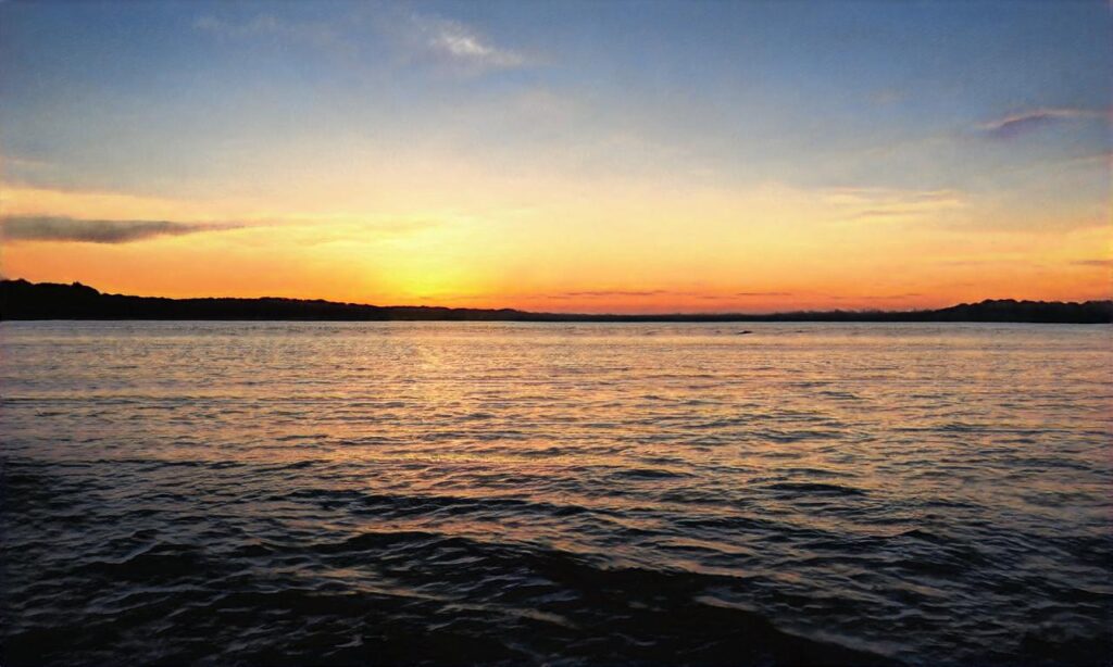 Plage de Tahiti accepte les chiens à Ramatuelle