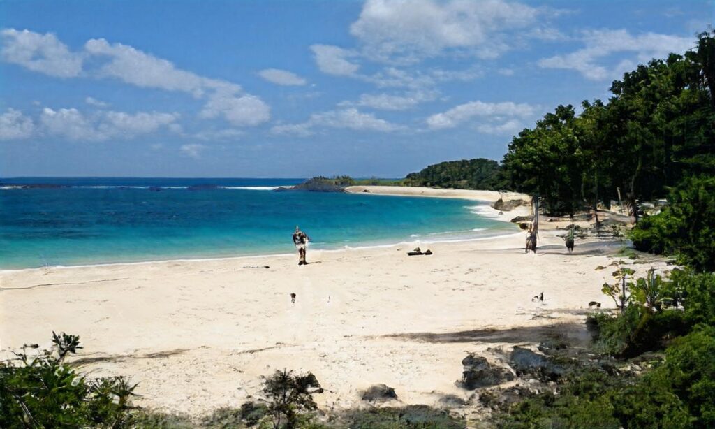 Plage des Marines de Cogolin accepte les chiens à Cogolin