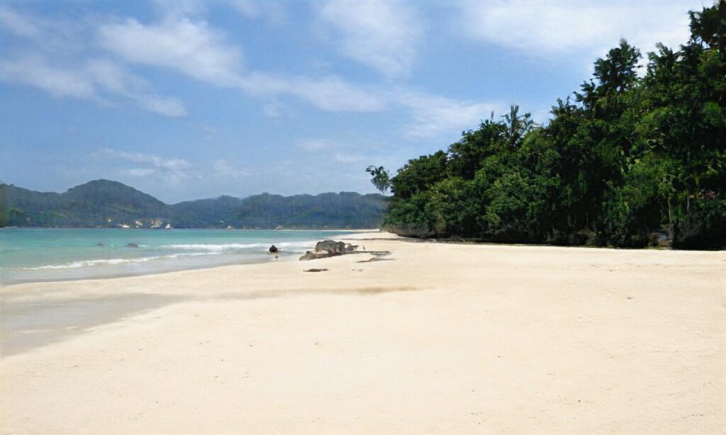 Plages du Bouil et des Conches accepte les chiens à Longeville-sur-Mer