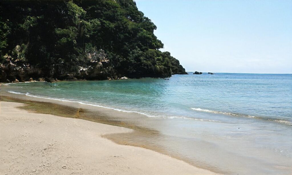 Plage du Verger accepte les chiens à Cancale