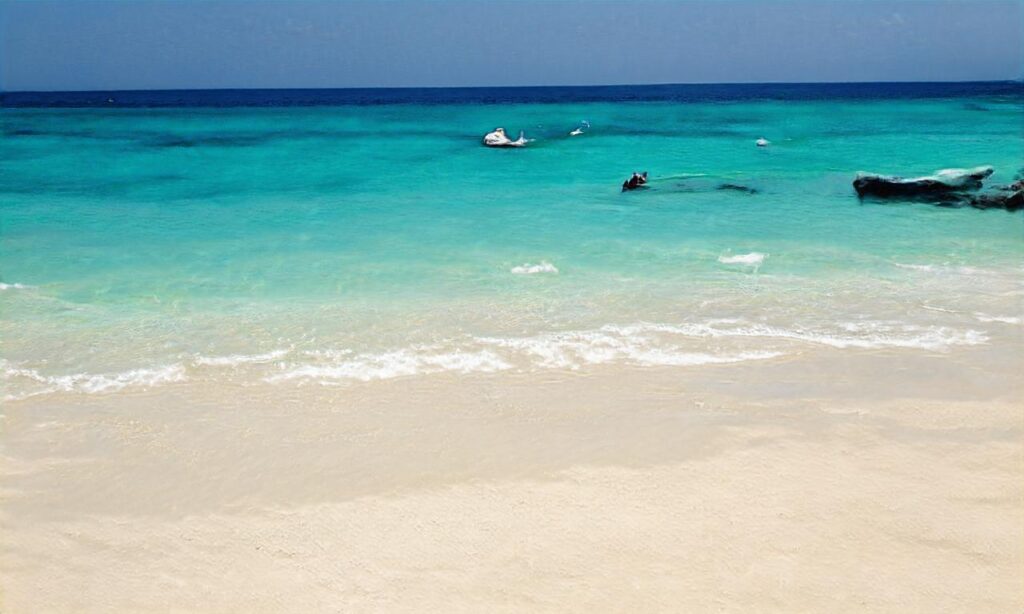 Plage du Cormier accepte les chiens à La Plaine-sur-Mer

