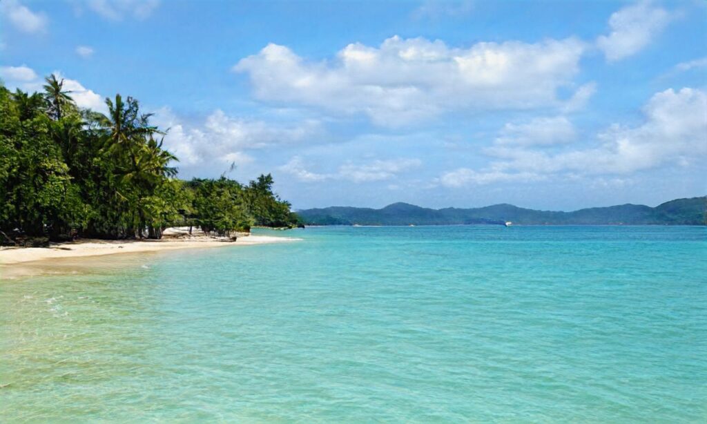 L’anse du Guesclin accepte les chiens à Saint-Coulomb