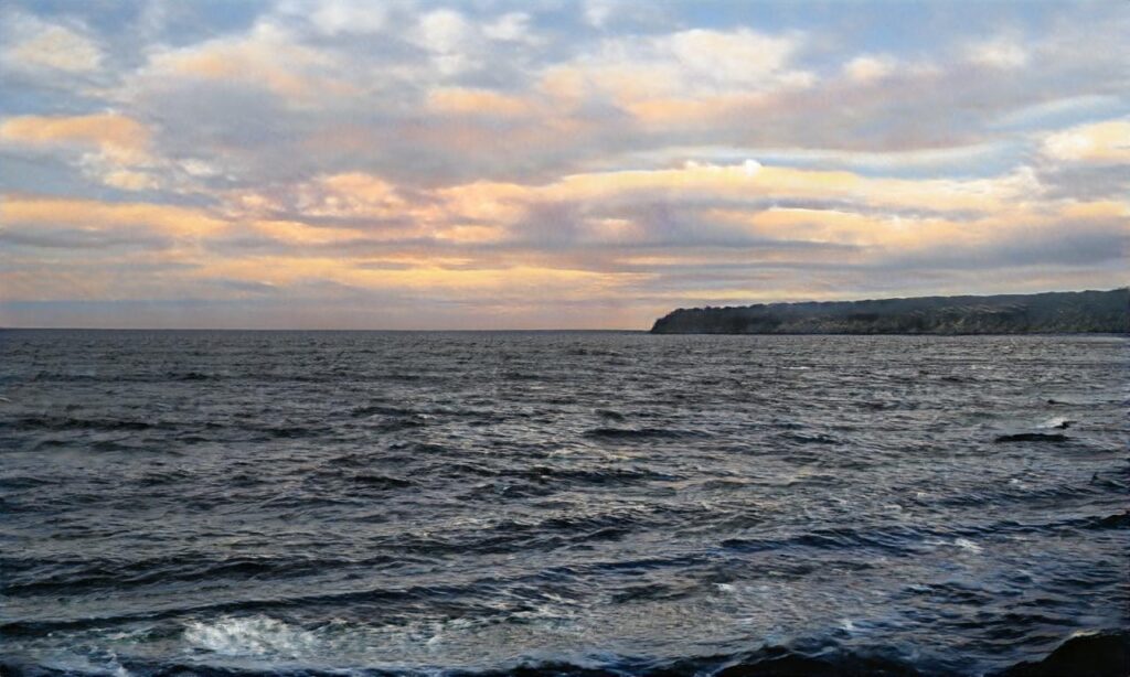 Plage de Monteau accepte les chiens à Istres