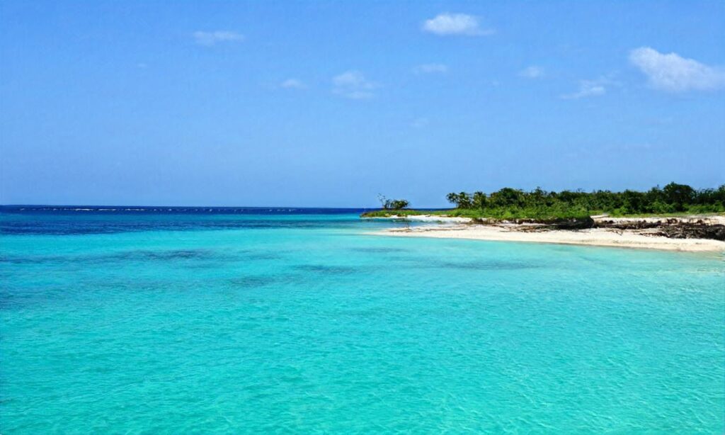 Les Criques Sauvages de Istres accepte les chiens à Istres