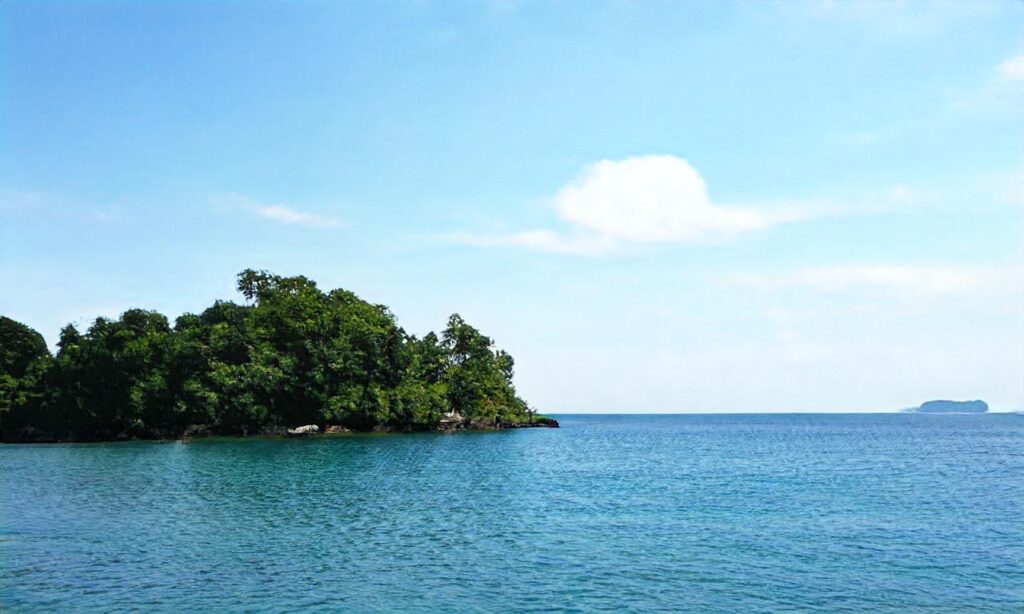 Plage de la Concurrence accepte les chiens à La Rochelle