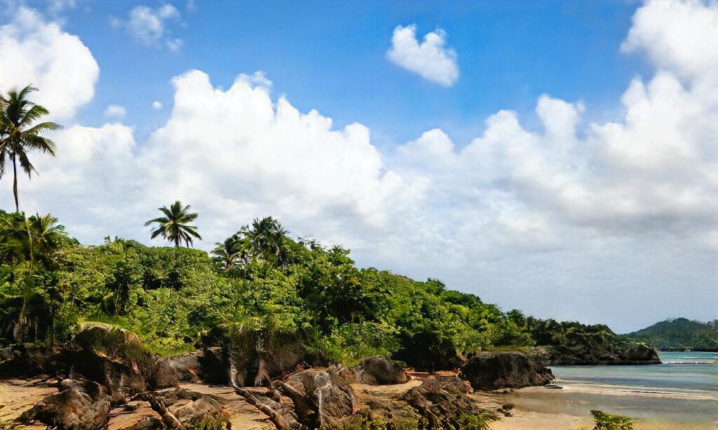 Plage de Chef de Baie accepte les chiens à La Rochelle