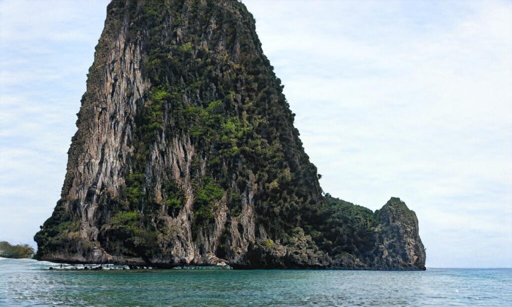 Plages de la Côte Sauvage accepte les chiens à La Tremblade