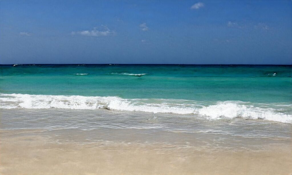 L’île de la Métairie accepte les chiens à La Ville-aux-Dames