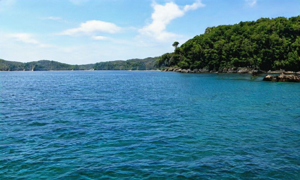 Lac de Saint Cassien accepte les chiens à Montauroux