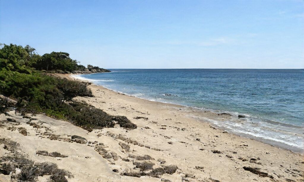 Plage du port – Saint Laurent du Var accepte les chiens à Saint-Laurent-du-Var