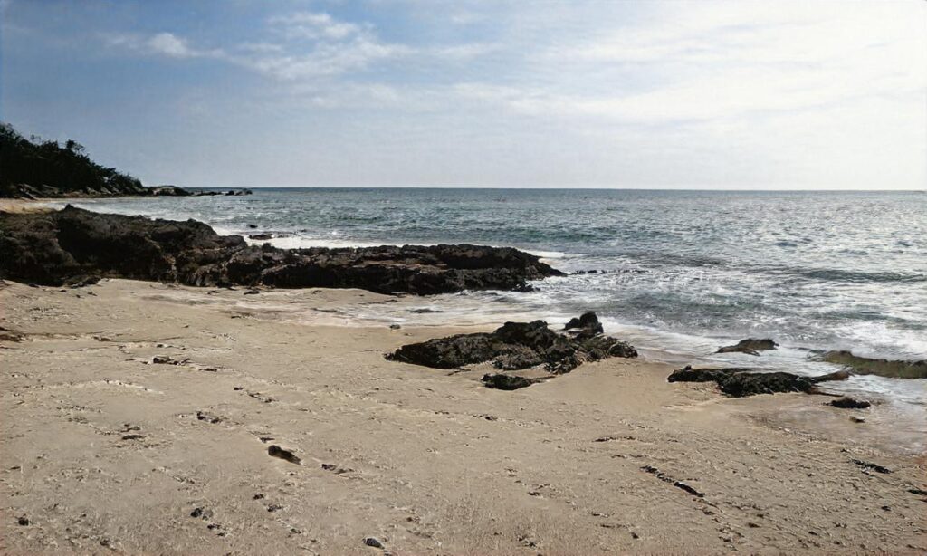 Plage de la Bonne Source accepte les chiens à Pornichet