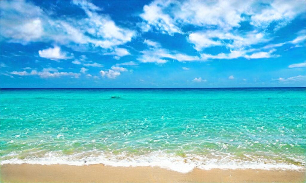 Plage de la Calanque du port d’Alon – Saint Cyr sur Mer accepte les chiens à Saint-Cyr-Sur-Mer