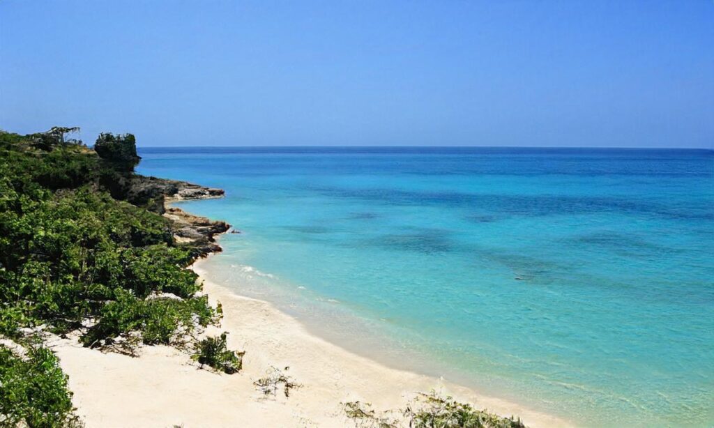 Plage Olga – Port Saint Louis accepte les chiens à Port-Saint-Louis-du-Rhône
