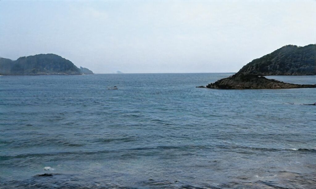 Plage de Figa accepte les chiens à Conca