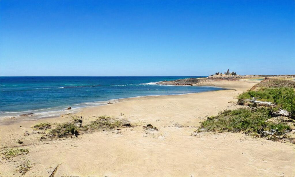Torreilles plages accepte les chiens à Torreilles