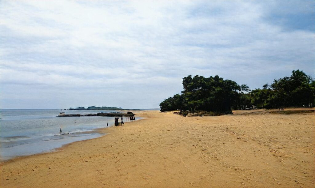 Plage du Tournant – Saint Cyprien accepte les chiens à Saint-Cyprien