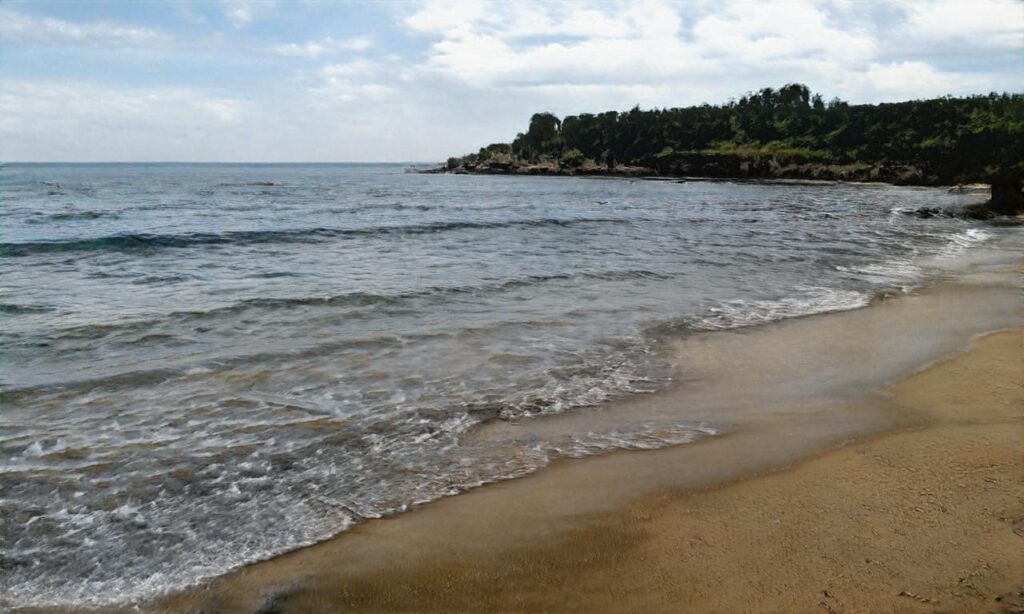 Plage sud – Saint Cyprien accepte les chiens à Saint-Cyprien