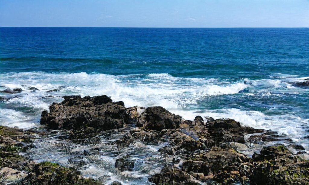 Plage de Bocal de Tech -Elne accepte les chiens à Elne