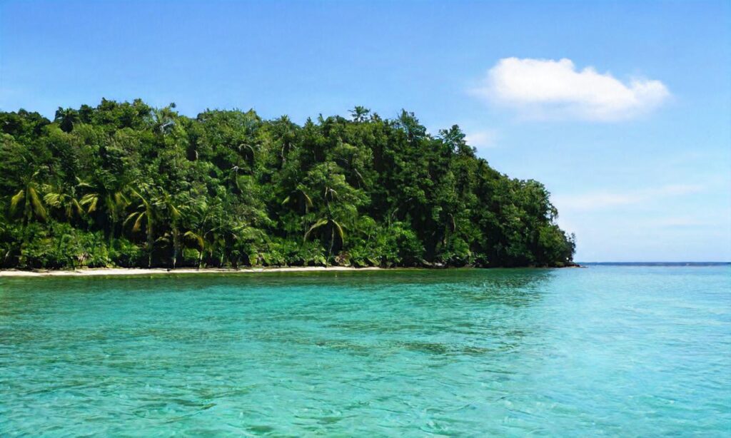 Plage Centrale – Labenne-Océan accepte les chiens à Labenne