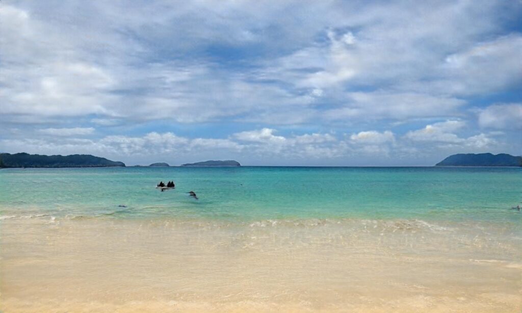 Plage du Port d’Albert – Soustons accepte les chiens à Soustons