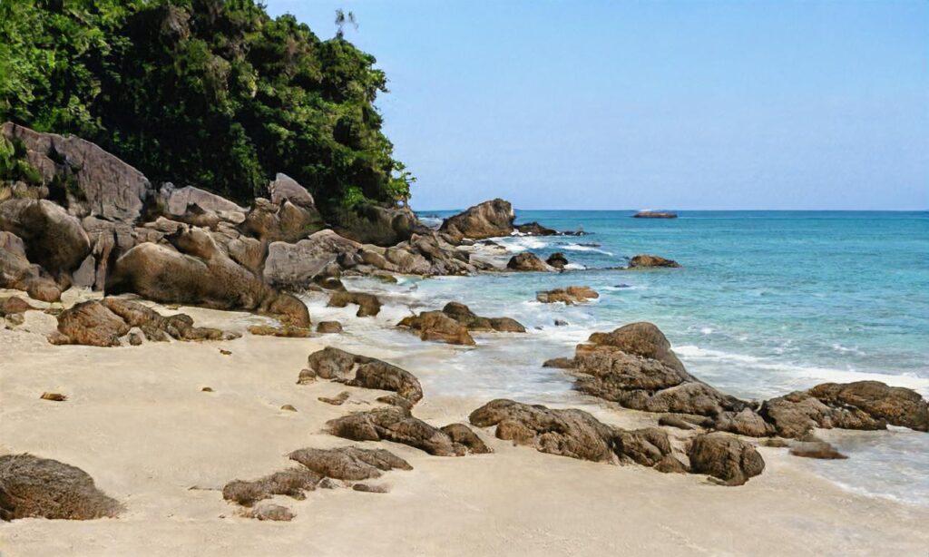 Plage Lac – Vieux Boucau accepte les chiens à Vieux-Boucau-les-Bains