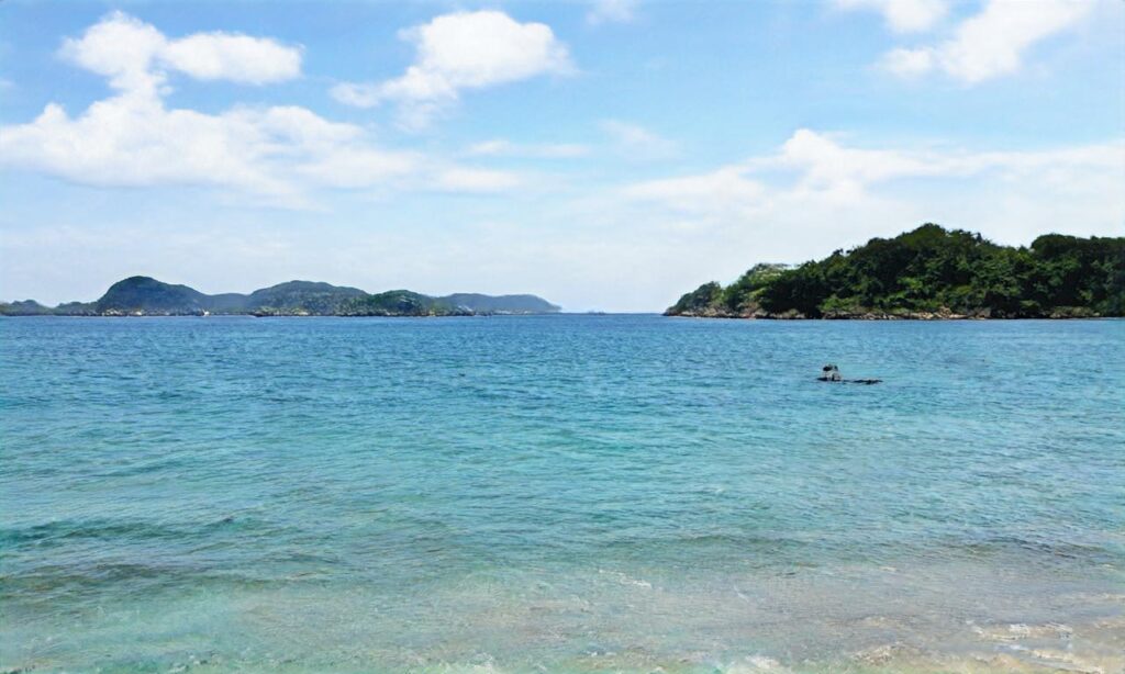 Plage Nord – Soustons accepte les chiens à Soustons